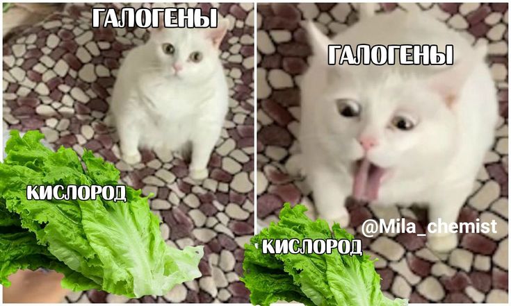 химия мемы, егэ химия, для запоминания тем, мем 14